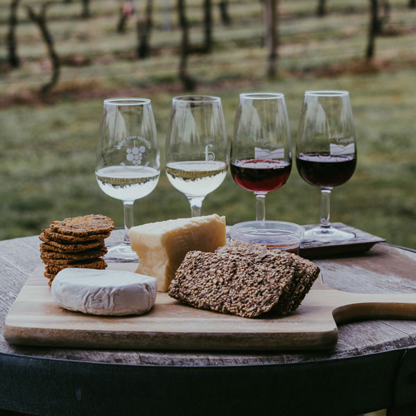 wine and cheese tasting at a vineyard
